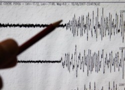 erkrasharzh-iranum-c-n32878-1