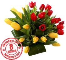 1779293_723243467716165_149831440_n