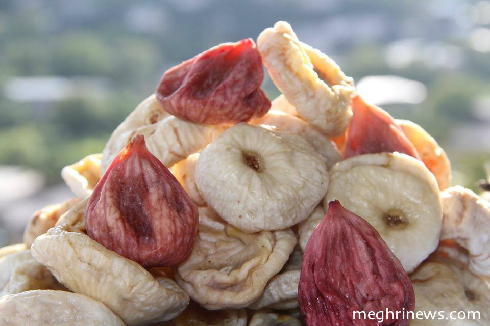 14407569_978248035634911_384554830_n