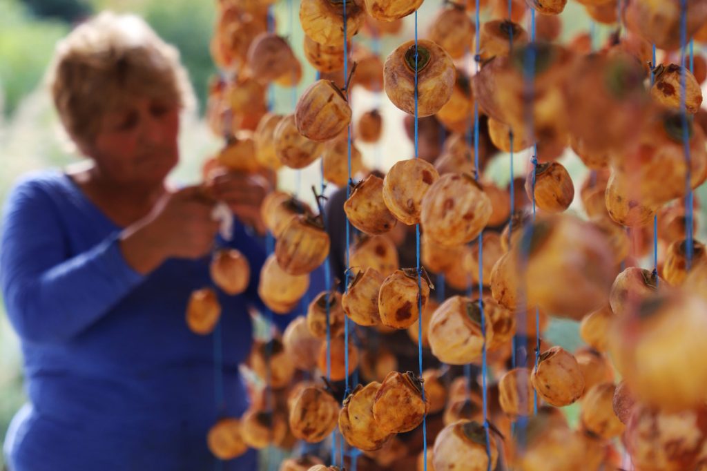 Մեղրի՝ չրաշխարհ