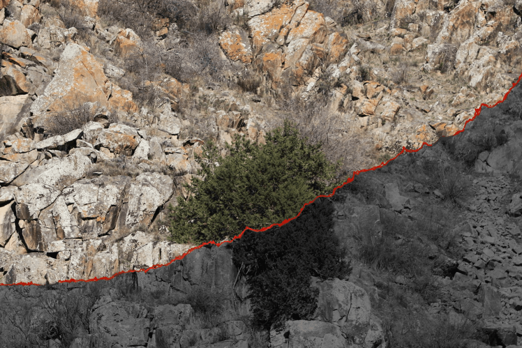 ՀԱՐԱՎԻ ՀՐԴԵՀՆԵՐԸ