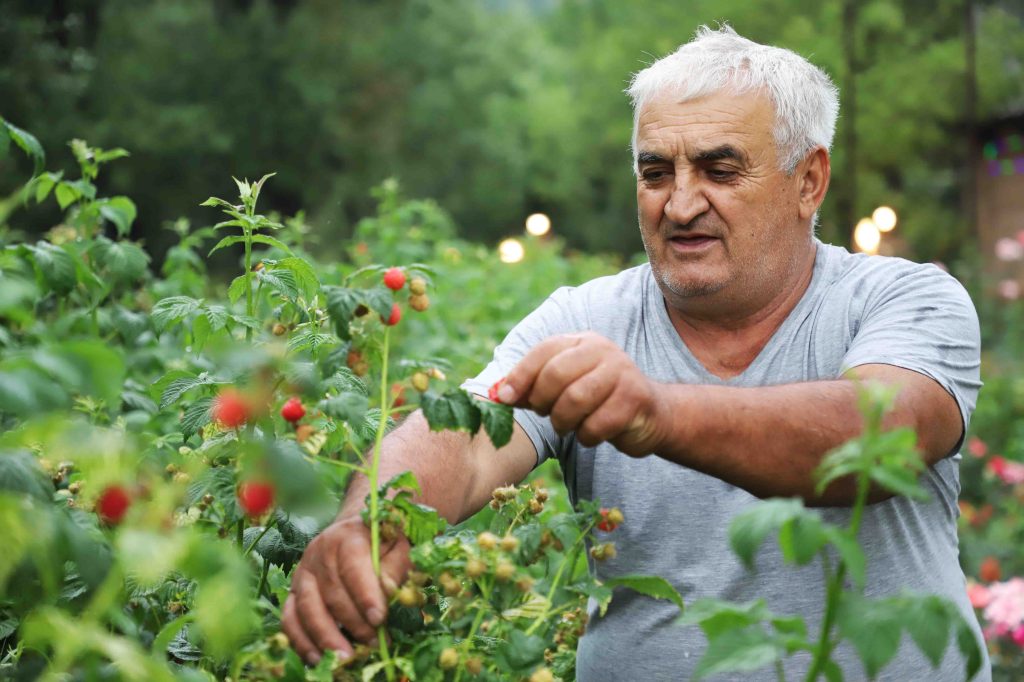 Կառլոսի դրախտը՝ Լիճքում